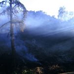 Consejos para una escapada al campo: prevenir incendios forestales