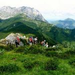 Ecoturismo en el Principado de Asturias: Parque Natural de Ponga
